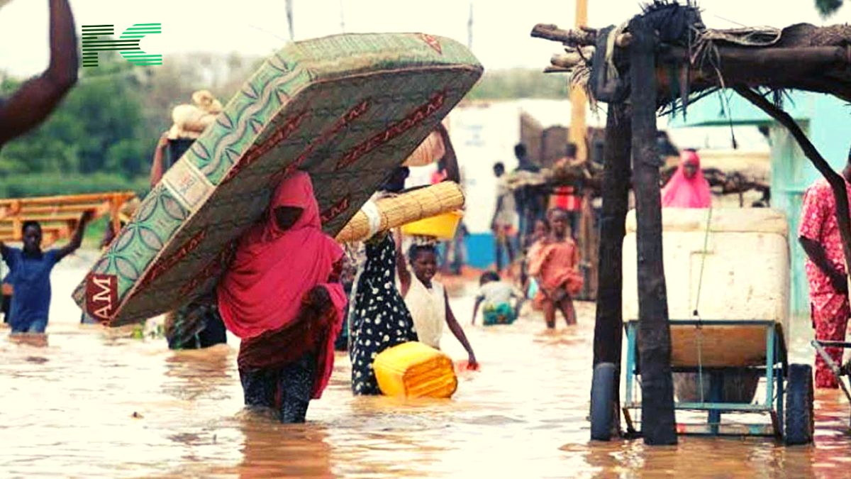 Flood claims three lives and ruins 1,453 homes in Bauchi