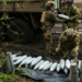 Ukraine Receives 300,000 Shells of Promised Million from EU