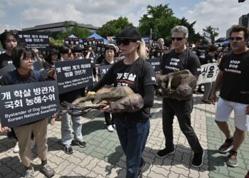 South Korean Farmers Clash With Police During Protest Against Dog Meat Ban