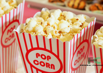 Top 5 Must-Watch Action Movies Hitting the Screens in 2024