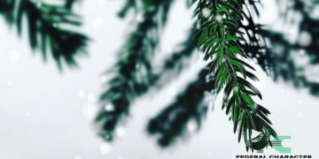 Naija Christmas Vibes: Unwrap Joy on a Budget with These Festive Hacks – Part 1