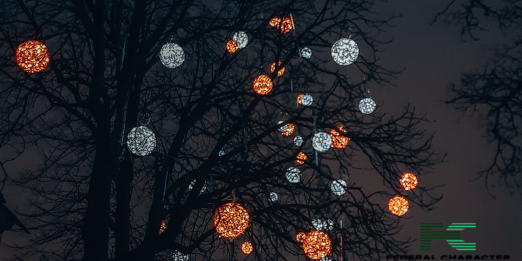 Woman Killed by Falling Christmas Tree in Belgian Market Square