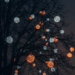 Woman Killed by Falling Christmas Tree in Belgian Market Square