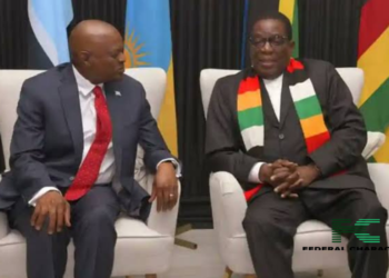 Botswana, Zimbabwe Announce Bilateral Travel Deal