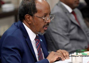 Turkey Issues Arrest Warrant for Somali President’s Son