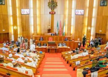 Senate’s 109 Million Naira Compensation: A Band-Aid for Lives Lost in Army’s Catastrophic Error?