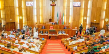 Senate’s 109 Million Naira Compensation: A Band-Aid for Lives Lost in Army’s Catastrophic Error?