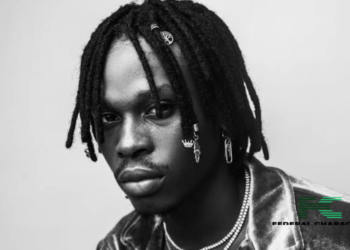 Fireboy Criticises The Nigerian Music Industry, Says It Lacks Structure