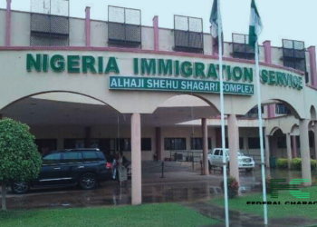 NIS Cautions Students, Commercial Traders Against Erratic Immigration