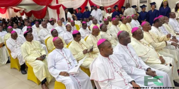 Nigerian Catholic Bishops Reveal Their Stance With Same-Sex Marriage Blessing
