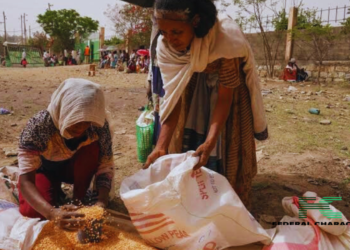 Northern Ethiopia On the Verge of Famine