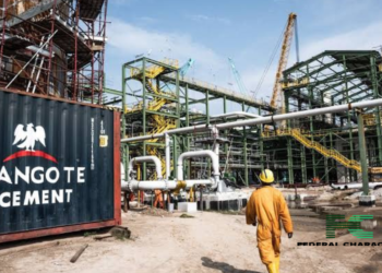 Dangote Cements its Way to Second in Sub-Saharan Africa’s Top Performers!