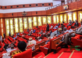 National Assembly Scrambles to Pass Budget as New Year Looms