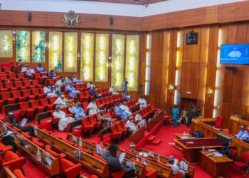 Senate's 109 Million Naira Compensation: A Band-Aid for Lives Lost in Army's Catastrophic Error?