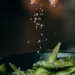 The Culprits Behind Food Poisoning