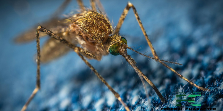 Why Do These Mosquitoes Love You (and Hate Your Friend)?