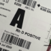 Love & Blood: Why Genotype Compatibility Isn’t Enough