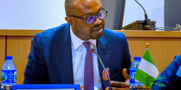 Tunji Ojo Reveals Date For Launching Passport Application Automation