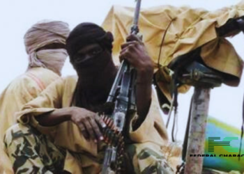 Insurrectionists Reportedly Seize Control of Niger Communities, Collects Tax From Residents