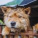 South Korean Parliament To Outlaw Dog Meat Trade