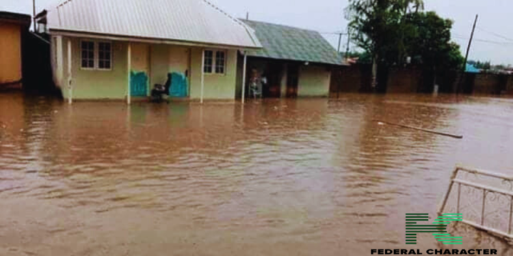 Hundreds Perish as Congo River Basin Gets Submerged by Generational Floods