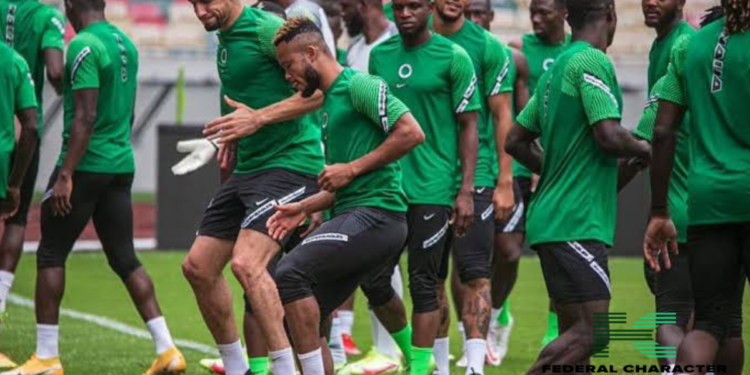 AFCON 2024: Nigerians Hope For A Surprise As The Super Eagles Kick Off Their Campaign Tomorrow