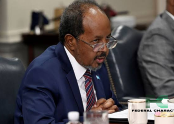 Turkish Court Penalises Somali Leader’s Son over Deadly Auto Crash