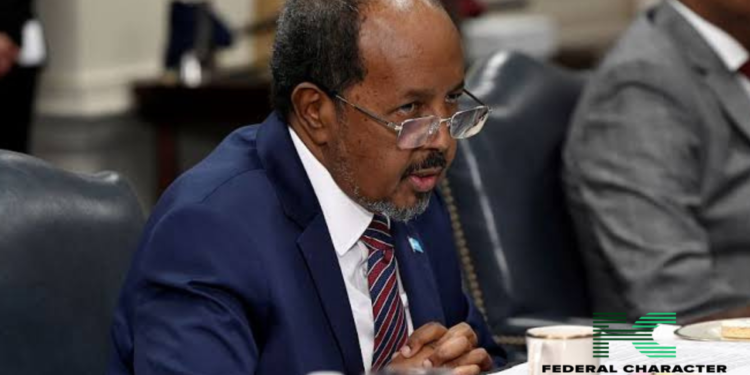 Turkish Court Penalises Somali Leader’s Son over Deadly Auto Crash