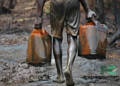 Nigerian Army Busts Major Oil Theft Operation in Rivers State
