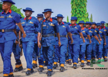 NSCDC Apprehends Alleged Cattle Rustler in Jigawa State