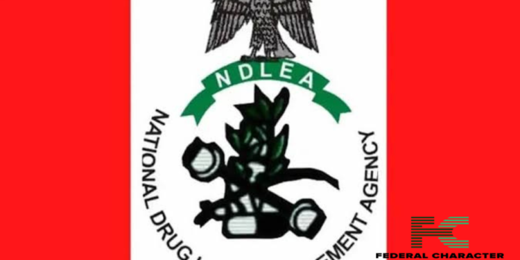 Ex-Beauty Queen on the Run After Drug Bust in Lekki Estate: NDLEA Sounds Alarm
