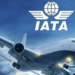 Nigeria Pays Airlines, But IATA Says More Needed for Smooth Flights