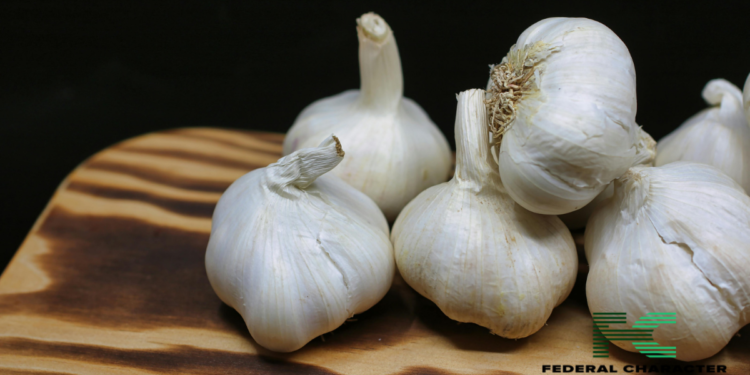 Is Raw Garlic the Missing Piece to Your Health Puzzle?