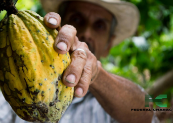 Ghana’s Cocoa Harvest Faces Challenges, But Hope Remains
