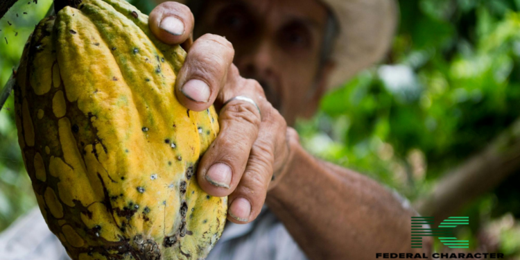 Ghana’s Cocoa Harvest Faces Challenges, But Hope Remains
