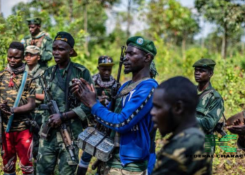 Islamist Insurgents Kill Nine in Eastern Congo Attacks