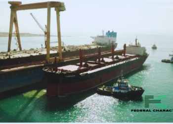 Egypt’s Suez Canal Hit by Attacks, But Strong Growth Offers Buffer