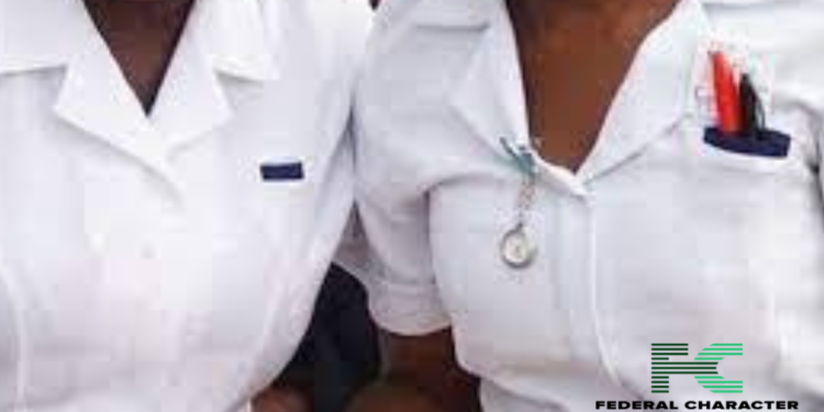 Nigerian Nurses Object New Certificate Verification Guidelines in Abuja