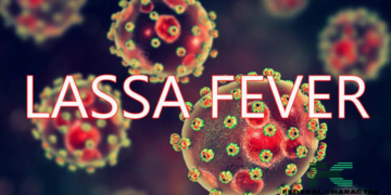 Lassa Fever Epidemic: Ebonyi State Records 10 Deaths So Far in 2024 – Ministry of Health