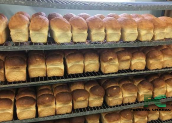 Bread Bakers in Zamfara State Commence strike Over Motorcycle Ban