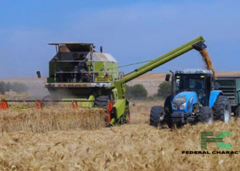 Tunisian Farmer Seeks Hope in the Past to Combat Climate Change