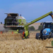 Tunisian Farmer Seeks Hope in the Past to Combat Climate Change