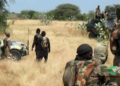 Chadian Troops Reportedly Kill Several Boko Haram Terrorists During Fresh Clash
