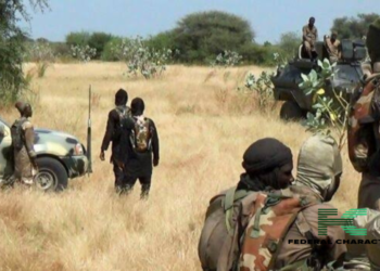 Chadian Troops Reportedly Kill Several Boko Haram Terrorists During Fresh Clash