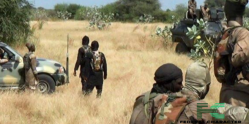 Chadian Troops Reportedly Kill Several Boko Haram Terrorists During Fresh Clash
