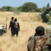 Chadian Troops Reportedly Kill Several Boko Haram Terrorists During Fresh Clash