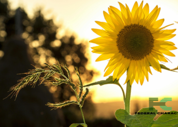 Man Dies of Excess Vitamin D Consumption: How Much Vitamin D Is Too Much?