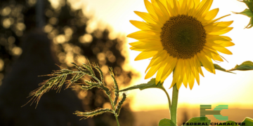 Man Dies of Excess Vitamin D Consumption: How Much Vitamin D Is Too Much?