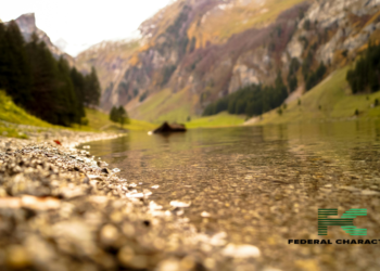 2024 Cholera Outbreak Affects Africa and Middle East