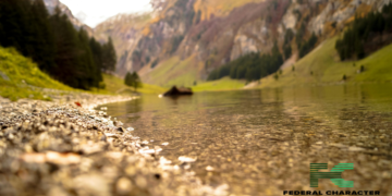 2024 Cholera Outbreak Affects Africa and Middle East